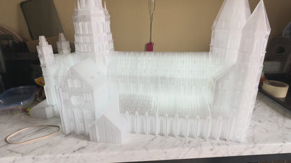 Mainz Cathedral Model for The Elephant Man